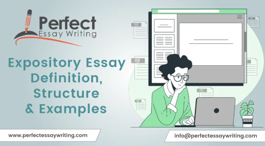 What is an expository essay?