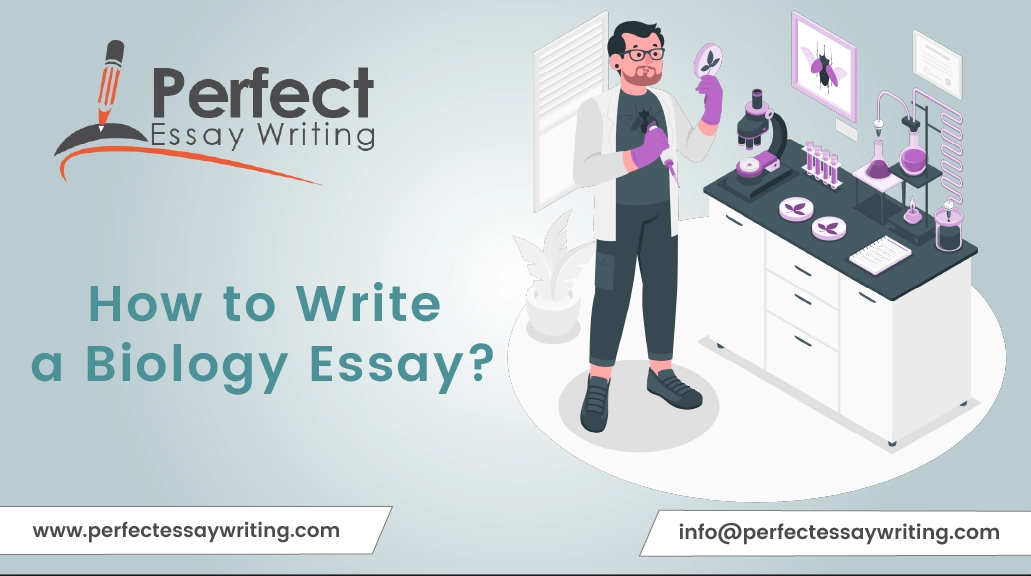 How to Write a Biology Essay