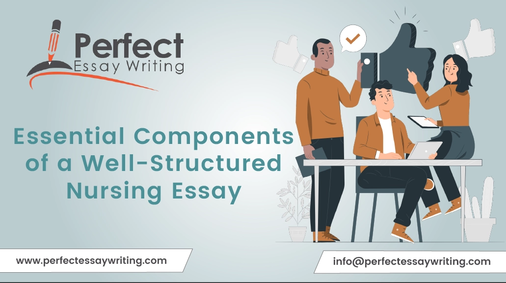 essential components of a well-structured nursing essay