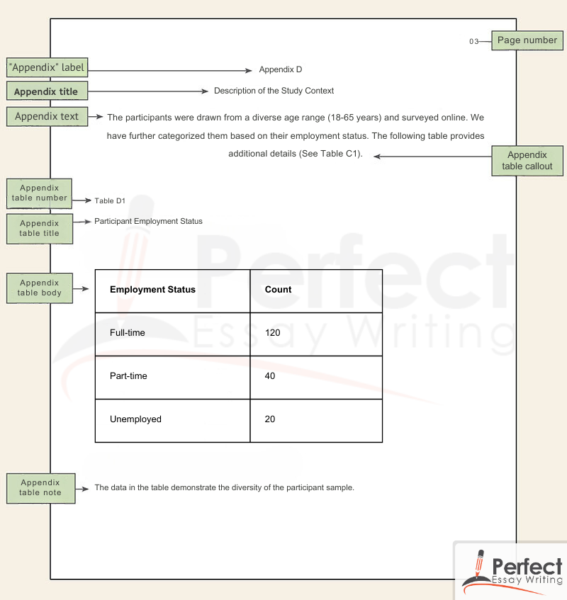 How To Add Citation In APA Appendix Format For A Paper